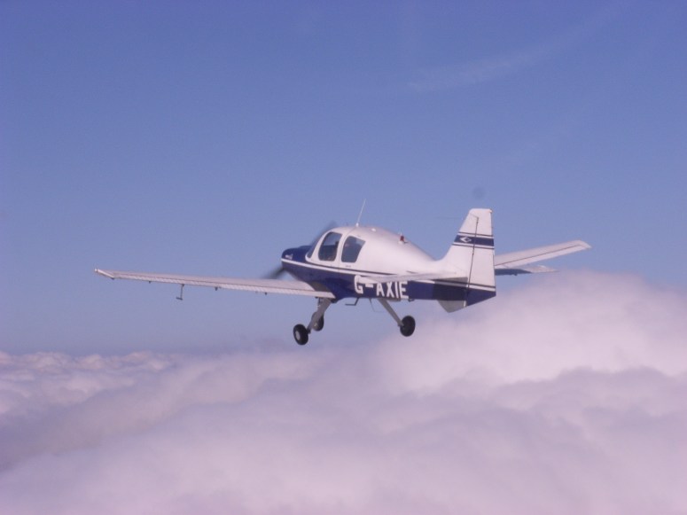 Beagle Pup over clouds